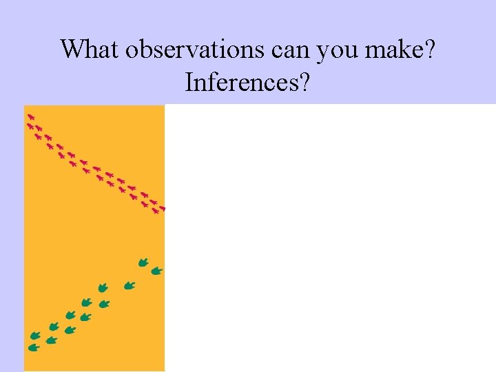 What observations can you make? Inferences? 