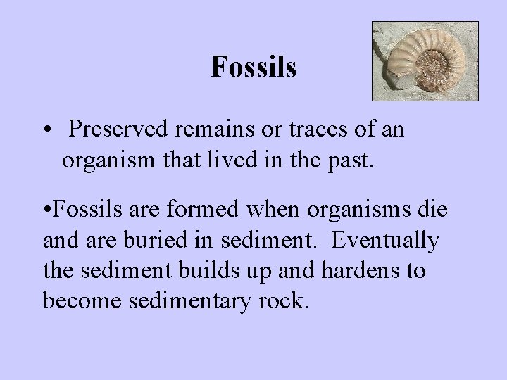 Fossils • Preserved remains or traces of an organism that lived in the past.