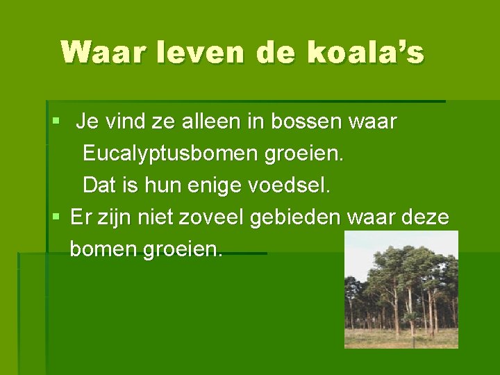 Waar leven de koala’s § Je vind ze alleen in bossen waar Eucalyptusbomen groeien.