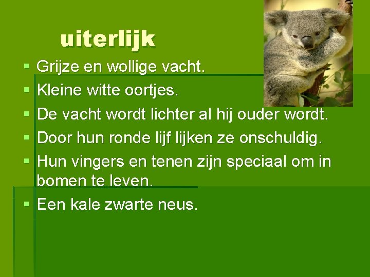 uiterlijk § § § Grijze en wollige vacht. Kleine witte oortjes. De vacht wordt