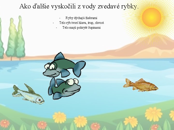 Ako ďalšie vyskočili z vody zvedavé rybky. Ryby dýchajú žiabrami Telo rýb tvorí hlava,