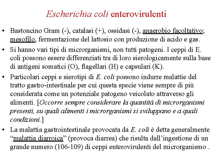 Escherichia coli enterovirulenti • Bastoncino Gram (-), catalasi (+), ossidasi (-), anaerobio facoltativo; mesofilo,