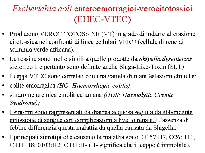 Escherichia coli enteroemorragici-verocitotossici (EHEC-VTEC) • Producono VEROCITOTOSSINE (VT) in grado di indurre alterazione citotossica