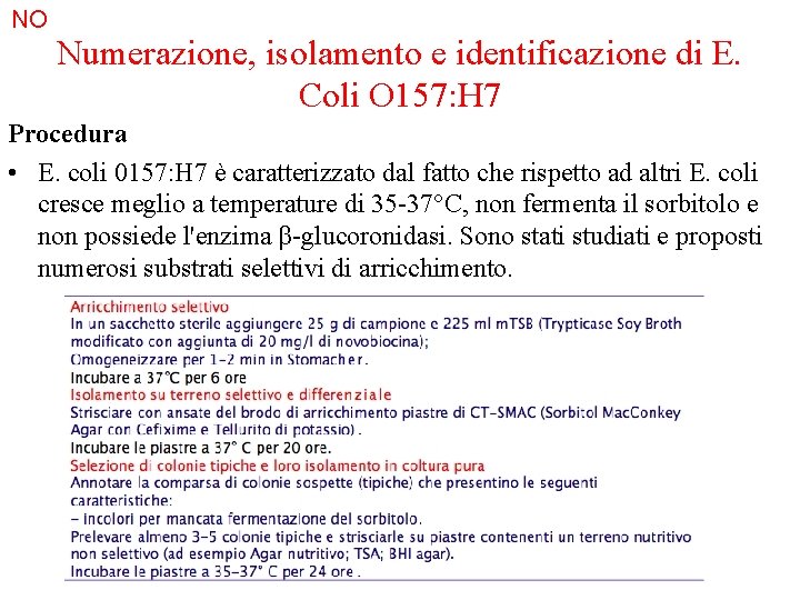 NO Numerazione, isolamento e identificazione di E. Coli O 157: H 7 Procedura •