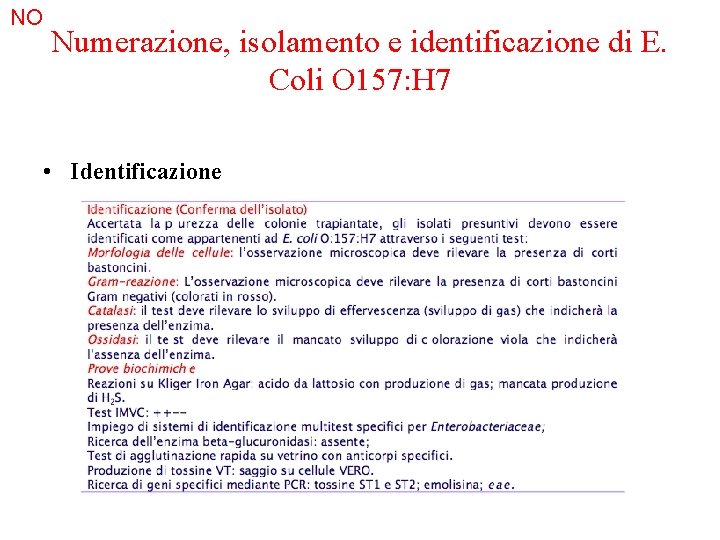 NO Numerazione, isolamento e identificazione di E. Coli O 157: H 7 • Identificazione