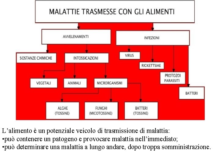 L’alimento è un potenziale veicolo di trasmissione di malattia: • può contenere un patogeno