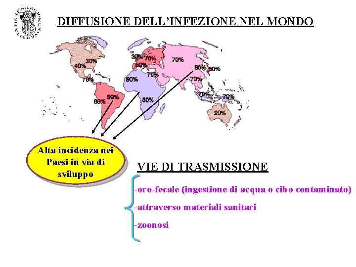 DIFFUSIONE DELL’INFEZIONE NEL MONDO Alta incidenza nei Paesi in via di sviluppo VIE DI DIFFUSIONE DELL’INFEZIONE NEL MONDO Alta incidenza nei Paesi in via di sviluppo VIE DI