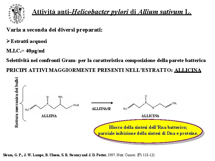 Attività anti-Helicobacter pylori di Allium sativum L. Varia a seconda dei diversi preparati: ØEstratti Attività anti-Helicobacter pylori di Allium sativum L. Varia a seconda dei diversi preparati: ØEstratti