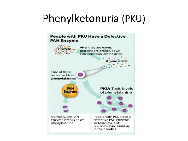 Phenylketonuria (PKU) 