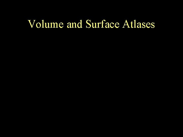 Volume and Surface Atlases 