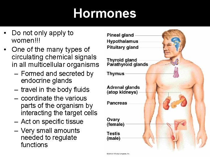 Hormones • Do not only apply to women!!! • One of the many types