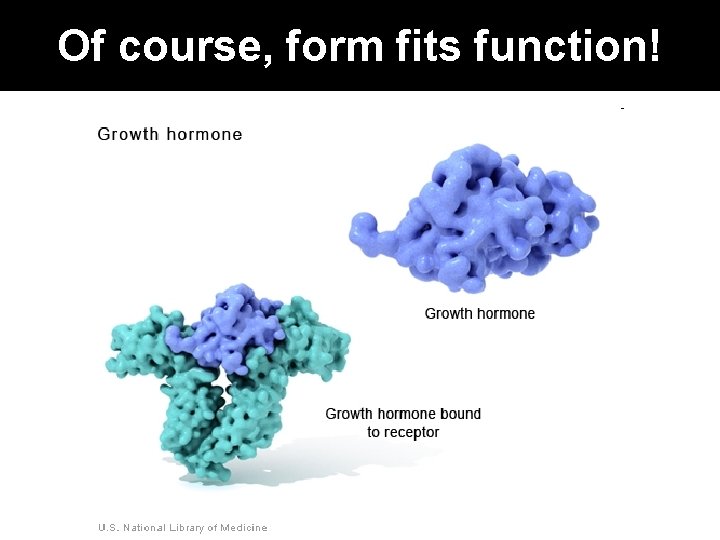 Of course, form fits function! 