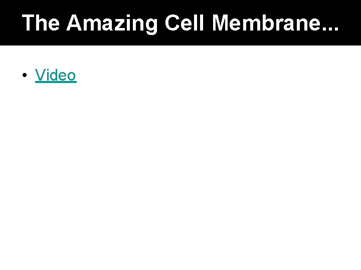 The Amazing Cell Membrane. . . • Video 