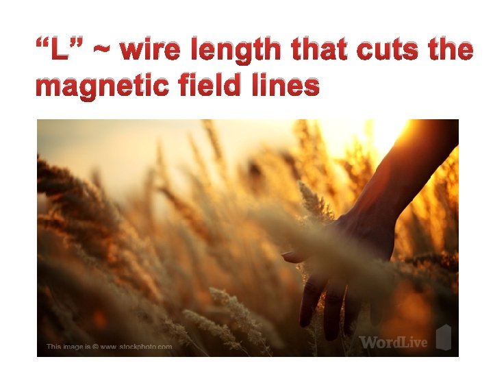 “L” ~ wire length that cuts the magnetic field lines 