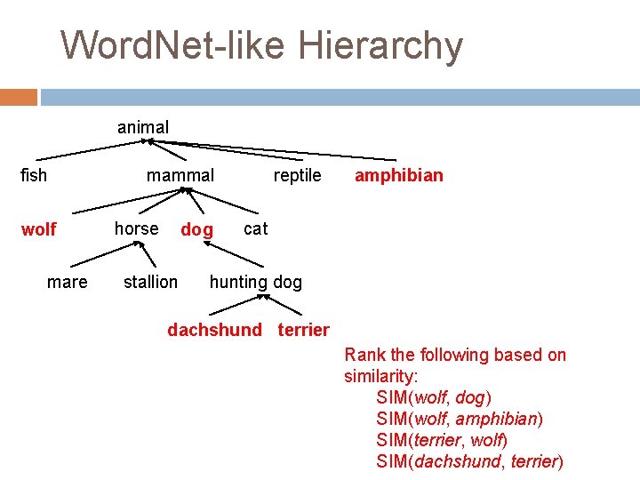 Word. Net-like Hierarchy animal fish wolf mare mammal horse dog stallion reptile amphibian cat