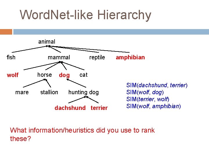 Word. Net-like Hierarchy animal fish wolf mare mammal horse dog stallion reptile amphibian cat
