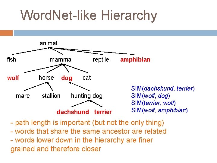 Word. Net-like Hierarchy animal fish wolf mare mammal horse dog stallion reptile amphibian cat