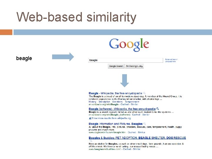 Web-based similarity beagle 