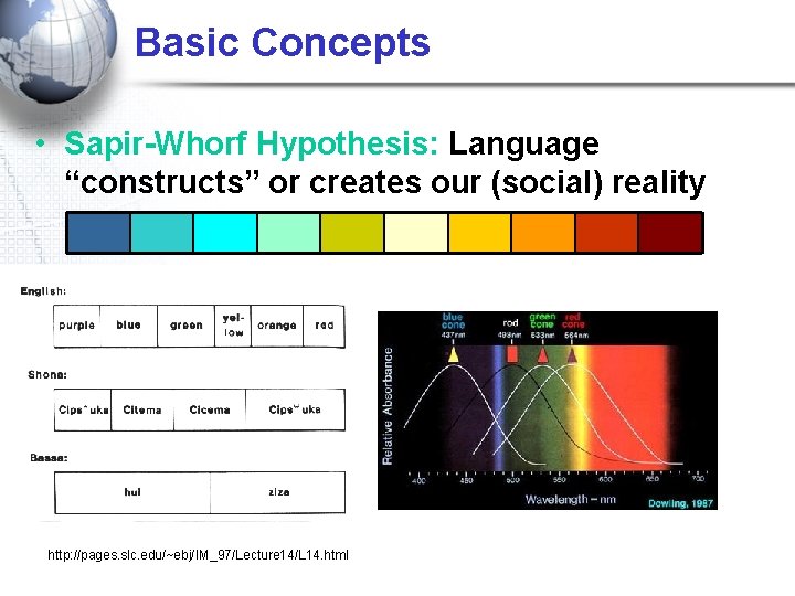 Basic Concepts • Sapir-Whorf Hypothesis: Language “constructs” or creates our (social) reality http: //pages.