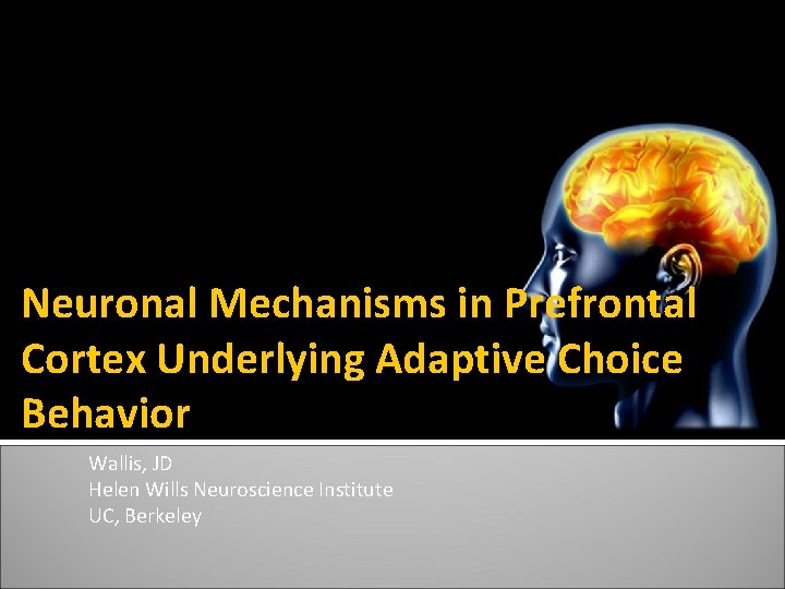 Neuronal Mechanisms in Prefrontal Cortex Underlying Adaptive Choice Behavior Wallis, JD Helen Wills Neuroscience