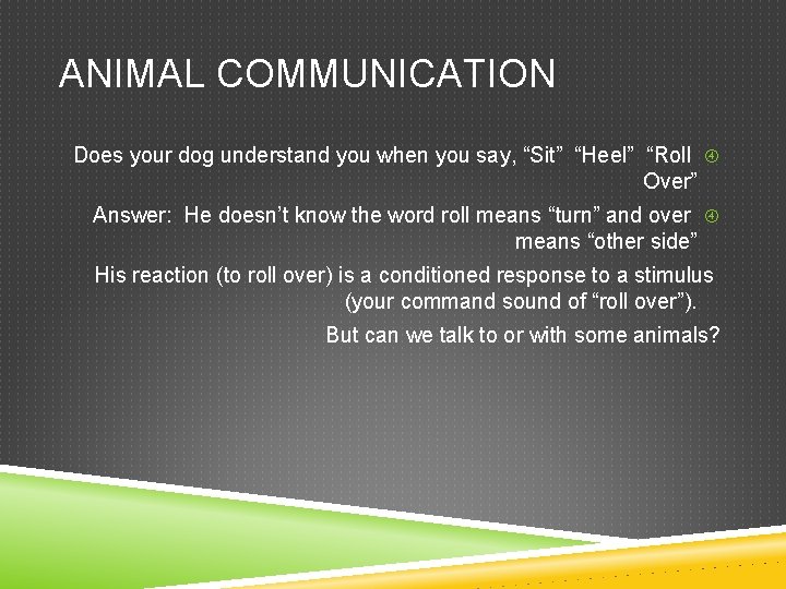ANIMAL COMMUNICATION Does your dog understand you when you say, “Sit” “Heel” “Roll Over”