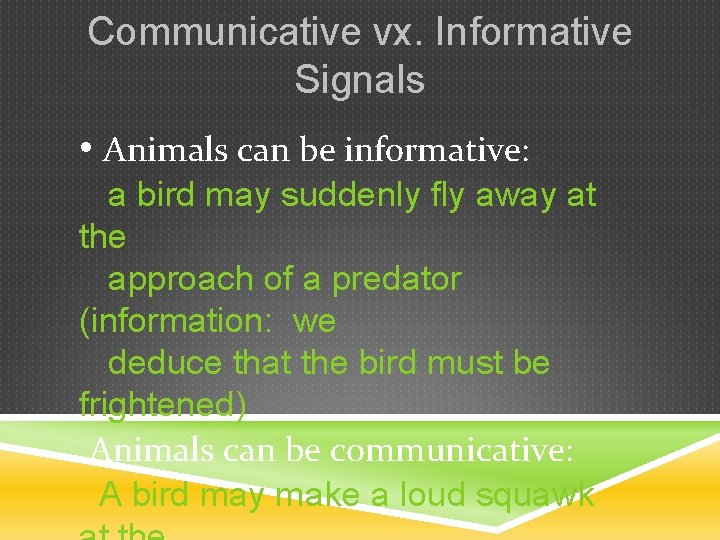 Communicative vx. Informative Signals • Animals can be informative: a bird may suddenly fly