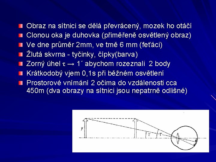 Obraz na sítnici se dělá převrácený, mozek ho otáčí Clonou oka je duhovka (přiměřeně