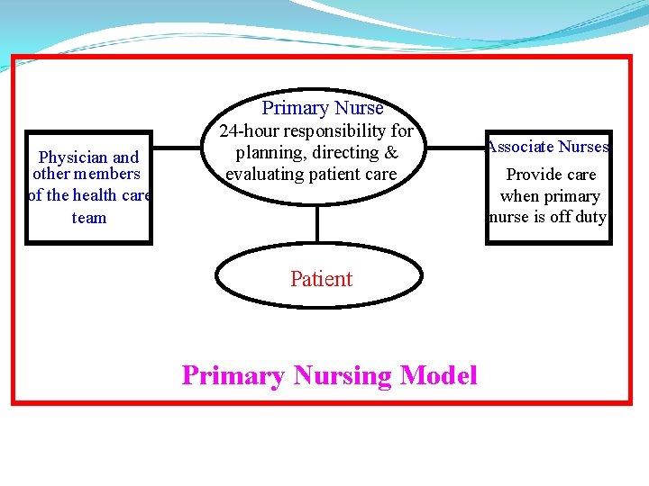 Primary Nurse Physician and other members of the health care team 24 -hour responsibility