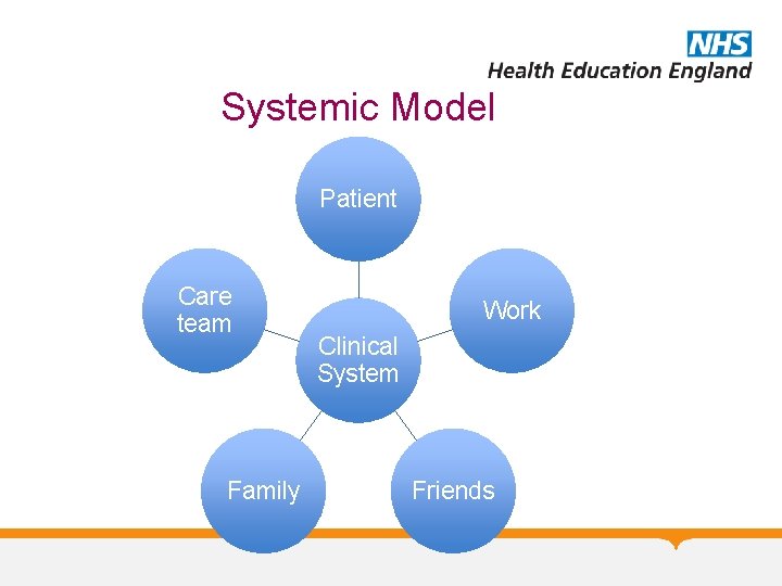 Systemic Model Patient Care team Family Work Clinical System Friends 