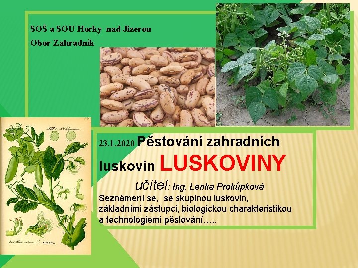 SOŠ a SOU Horky nad Jizerou Obor Zahradník 23. 1. 2020 Pěstování zahradních luskovin