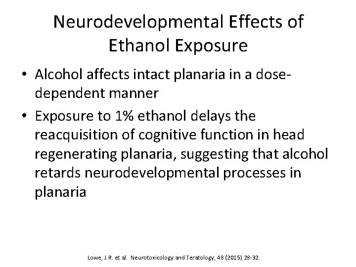 Neurodevelopmental Effects of Ethanol Exposure • Alcohol affects intact planaria in a dosedependent manner