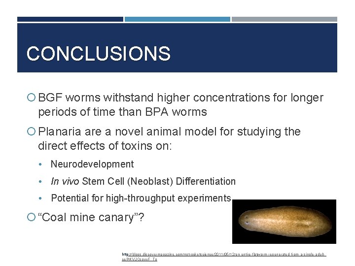 CONCLUSIONS BGF worms withstand higher concentrations for longer periods of time than BPA worms