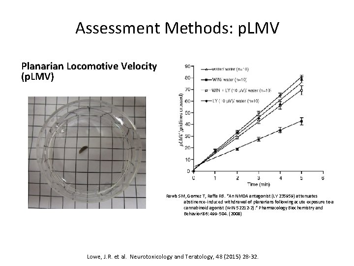Assessment Methods: p. LMV Planarian Locomotive Velocity (p. LMV) Rawls SM, Gomez T, Raffa