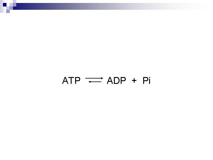 ATP ADP + Pi 