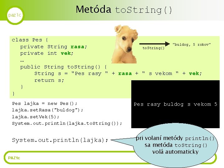 paz 1 c Metóda to. String() class Pes { "buldog, 5 rokov" private String
