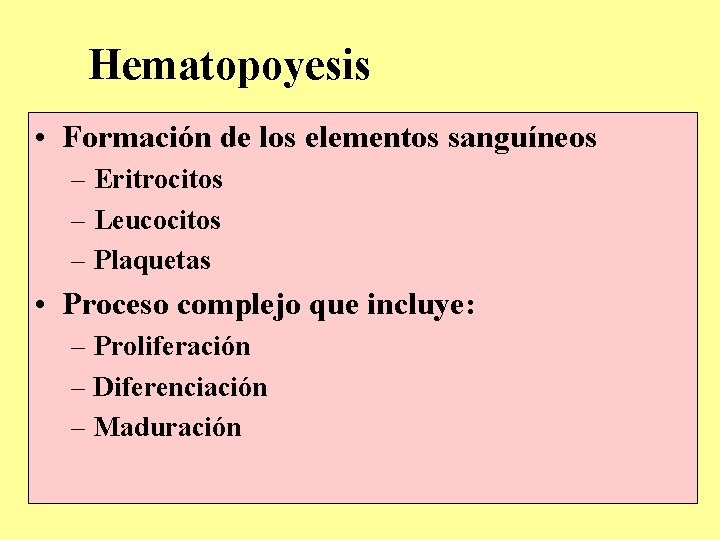 Hematopoyesis • Formación de los elementos sanguíneos – Eritrocitos – Leucocitos – Plaquetas •
