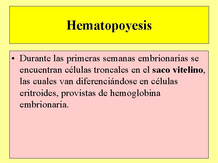 Hematopoyesis • Durante las primeras semanas embrionarias se encuentran células troncales en el saco