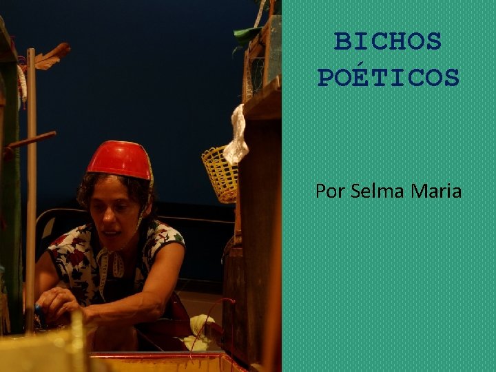 BICHOS POÉTICOS Por Selma Maria 