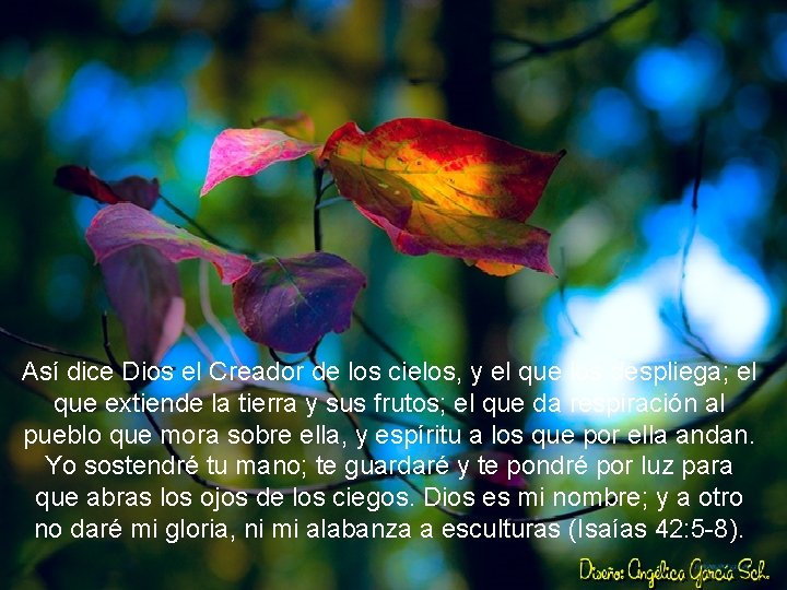 Así dice Dios el Creador de los cielos, y el que los despliega; el