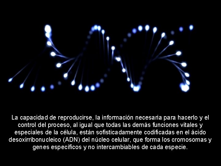 La capacidad de reproducirse, la información necesaria para hacerlo y el control del proceso,