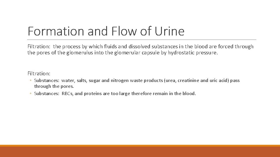 Formation and Flow of Urine Filtration: the process by which fluids and dissolved substances