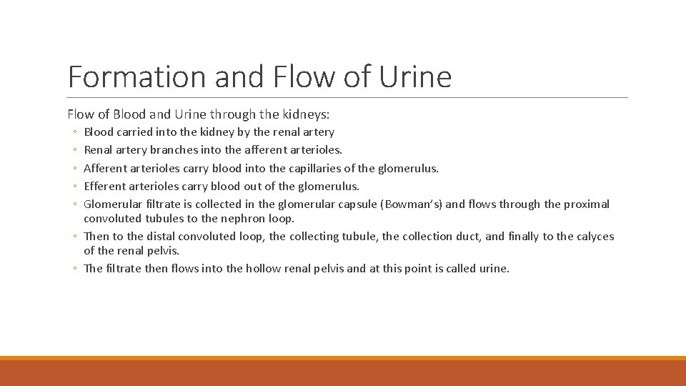 Formation and Flow of Urine Flow of Blood and Urine through the kidneys: ◦