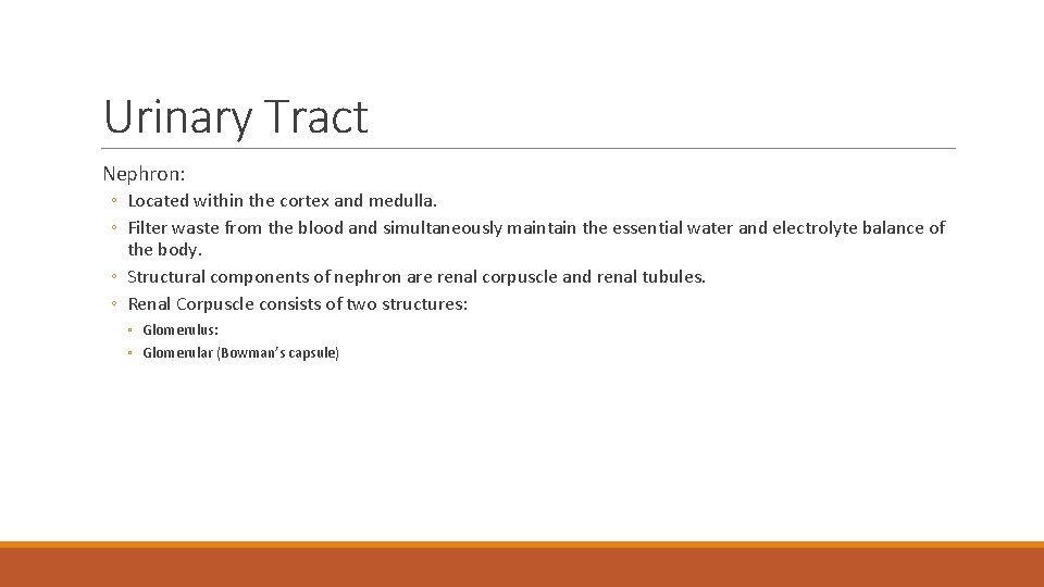 Urinary Tract Nephron: ◦ Located within the cortex and medulla. ◦ Filter waste from