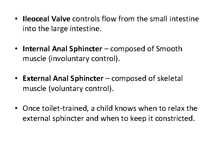  • Ileoceal Valve controls flow from the small intestine into the large intestine.