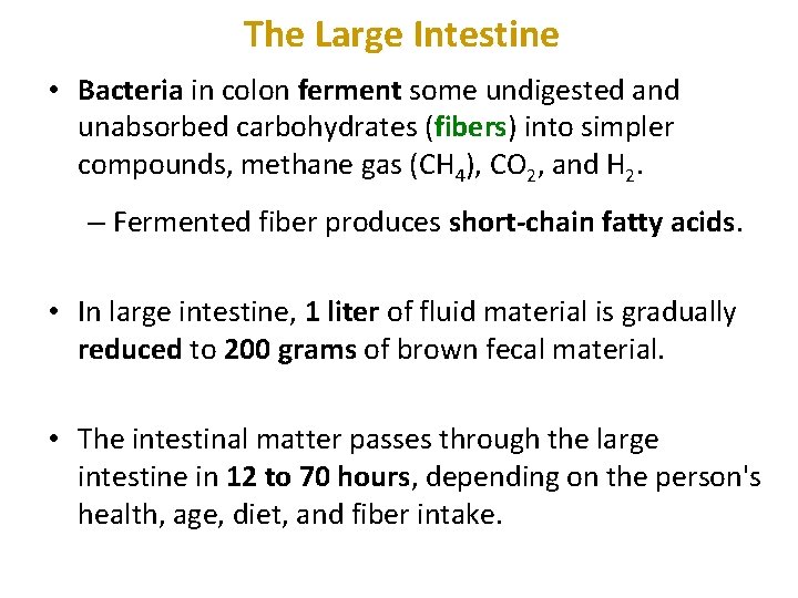 The Large Intestine • Bacteria in colon ferment some undigested and unabsorbed carbohydrates (fibers)