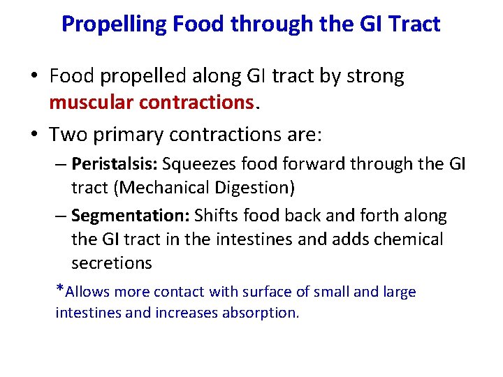 Propelling Food through the GI Tract • Food propelled along GI tract by strong