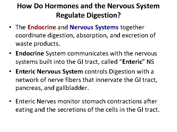 How Do Hormones and the Nervous System Regulate Digestion? • The Endocrine and Nervous