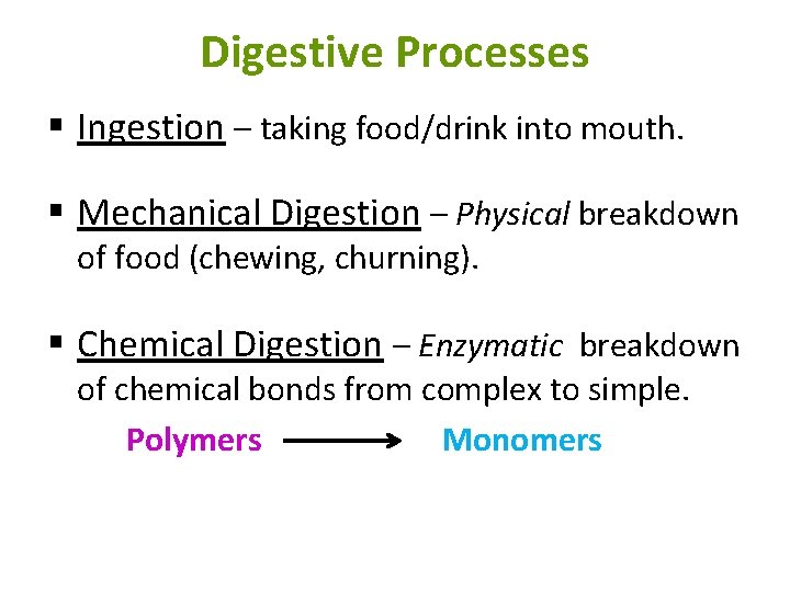 Digestive Processes § Ingestion – taking food/drink into mouth. § Mechanical Digestion – Physical