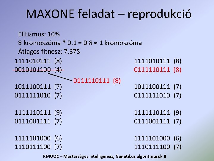 MAXONE feladat – reprodukció Elitizmus: 10% 8 kromoszóma * 0. 1 = 0. 8