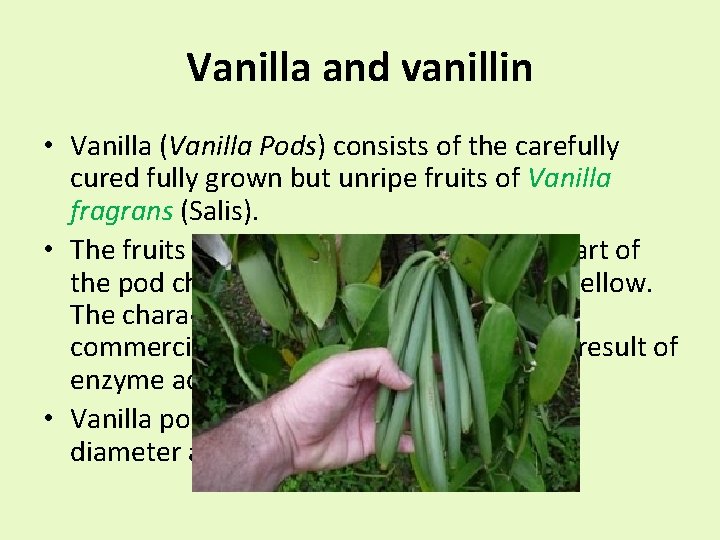 Vanilla and vanillin • Vanilla (Vanilla Pods) consists of the carefully cured fully grown